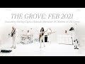 The Grove Online // February 8