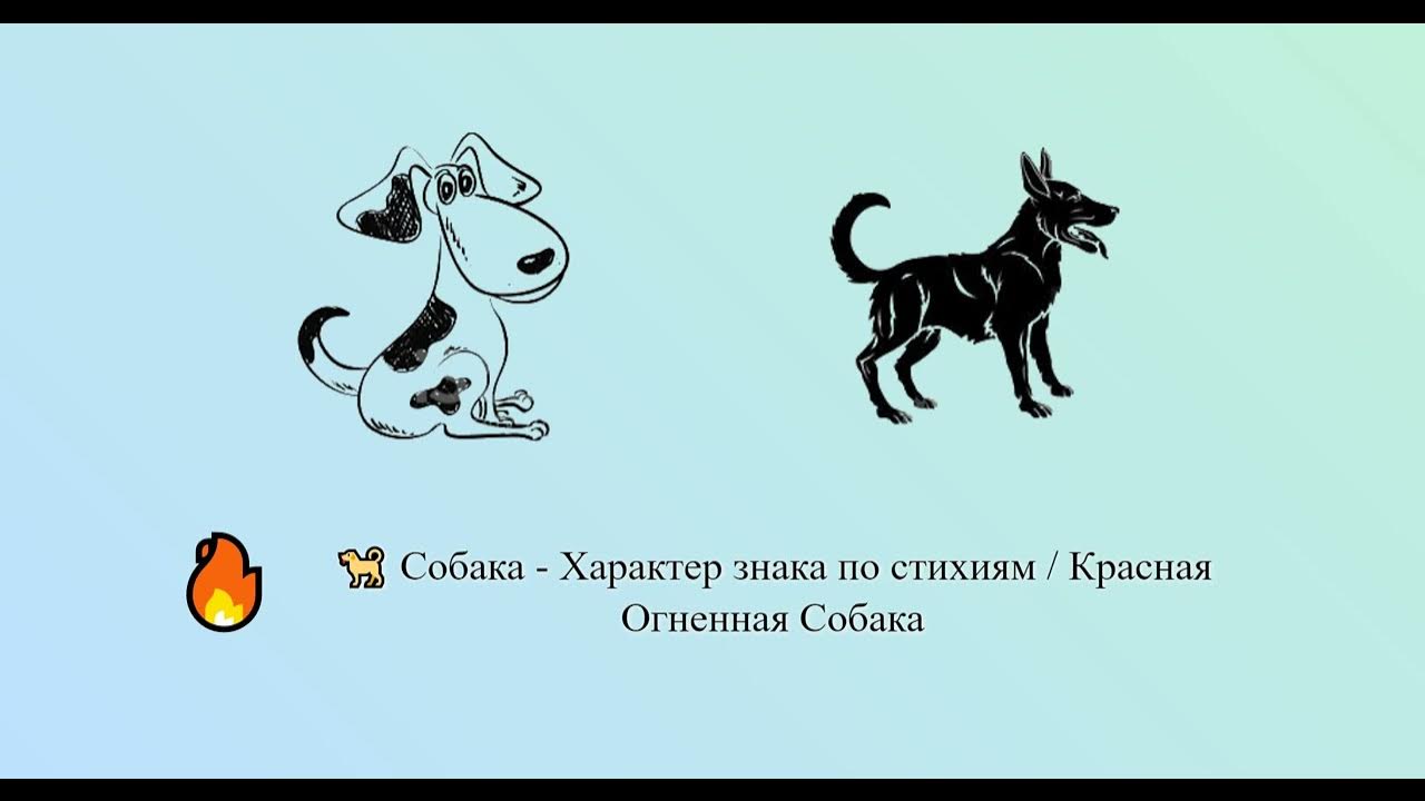 Собака - Характер знака по стихиям / Красная Огненная Собака 🐕 🔥 ...