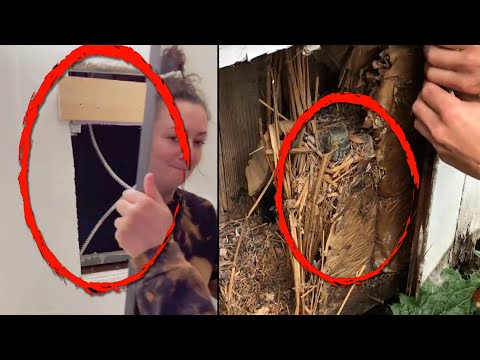 Incredible Things People Found Hidden in Their Homes