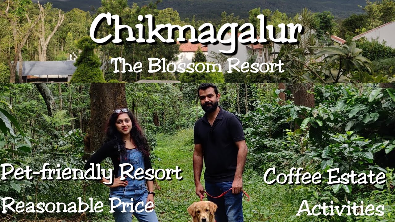 Chikmagalur Best Resort to stay The Blossom Resort Vlog Pet