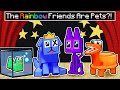 The rainbow friends are pets in minecraft