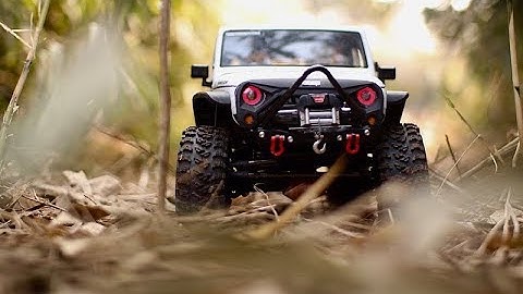 Axial SCX10 II Jeep Wrangler Rubicon Bamboo forest #