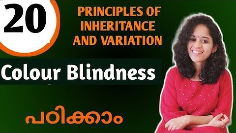 COLOUR BLINDNESS- PRINCIPLES OF INHERITANCE AND VARIATION /NCERT /NEET BIOLOGY