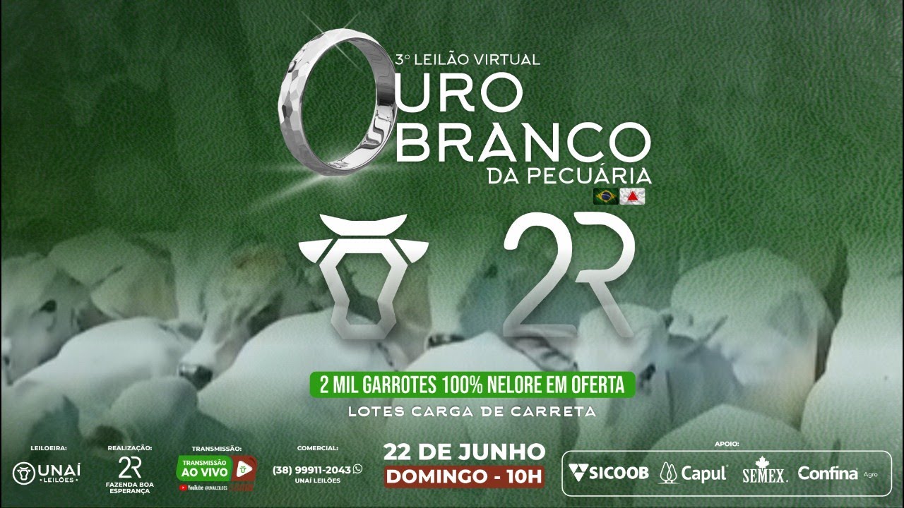 3º LEILÃO VIRTUAL OURO BRANCO DA PECUÁRIA - UNAÍ LEILÕES  - 22-06-2025