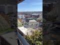 Вот такие они эти AI стартапы нынче