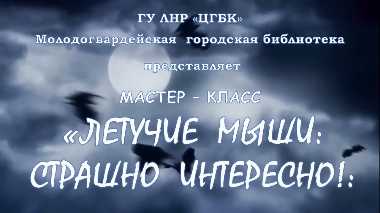 "Летучие мыши: страшно интересно!"