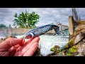 Fishing With BIG BAITS In A WATERFALL SPILLWAY!!! (Unbelievable)