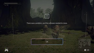 (No longer applicable) NieR: Automata crashes on Nintendo Switch 2 when dodging enemy attacks