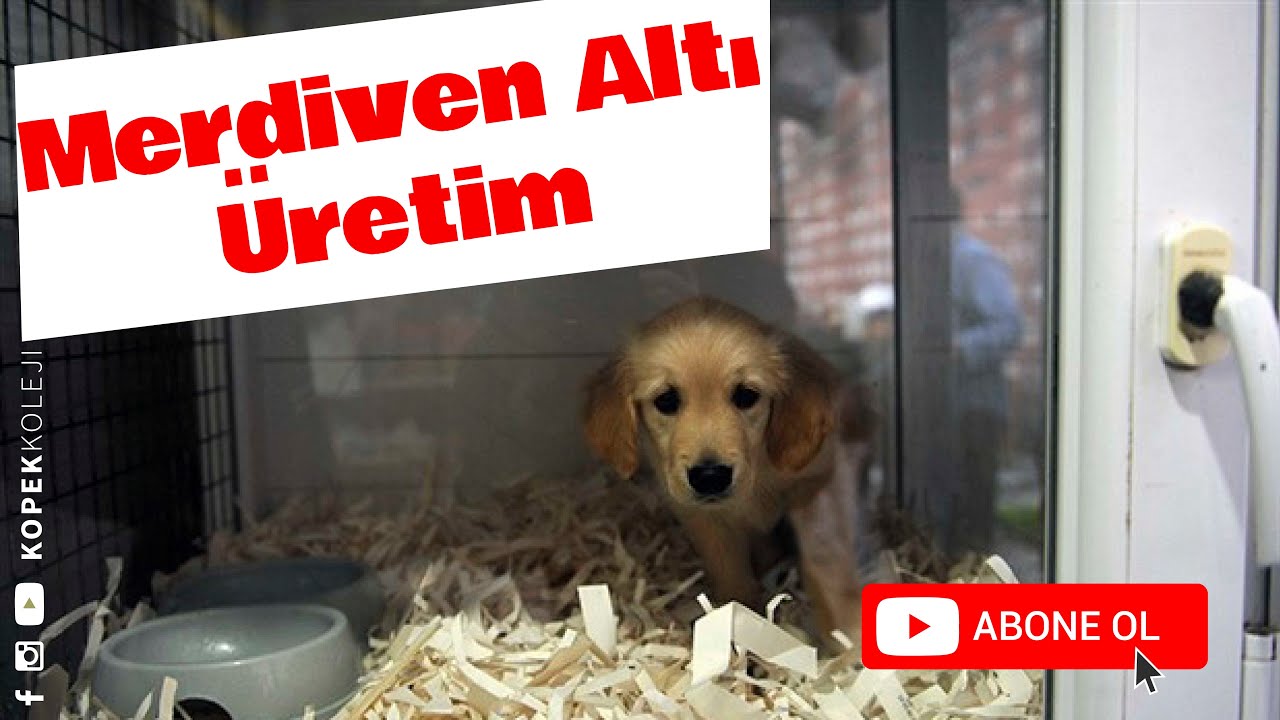 Merdiven Altı Üretim YouTube