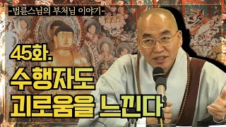 [법륜스님의 부처님이야기] 45. 수행자도 괴로움을 느낀다