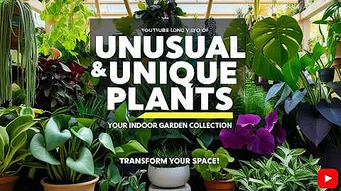 Unusual and Unique Plants for Your Indoor Garden Collection | Rare Houseplants You’ll Love 🌿✨