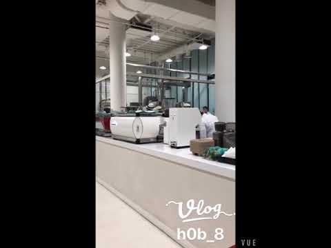 سلالات القهوة قهوة مختصه