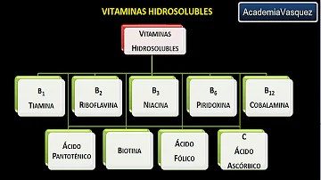 ¿Cuál es la función de las vitaminas liposolubles?