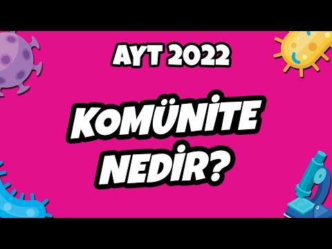 AYT Biyoloji - Komünite Nedir? | AYT Biyoloji 2022 #hedefekoş