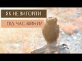 Як не вигоріти під час війни?