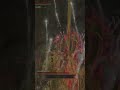 Boss Fight: Miranda the Blighted Bloom of Tombsward Cave | Elden Ring #Shorts