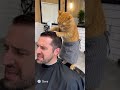 Sora 2 Cat Works as a Barber