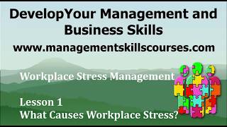 What causes workplace stress?