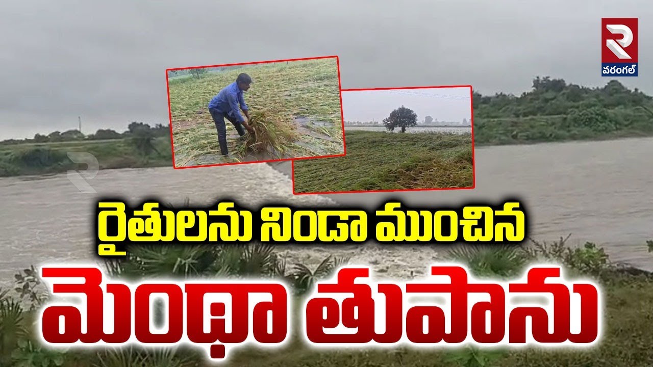 Crop Damage Due To Montha Cyclone Effect | రైతులను నిండా ముంచిన మెంథా ...