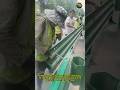 Amazing Highway Guardrail Installation Process | Skilled Workers Installing Road Safety Barriers