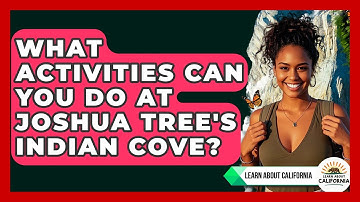 What Activities Can You Do At Joshua Tree