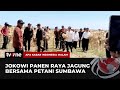 Presiden Jokowi Tinjau Panen Raya Jagung di Sumbawa | AKIM tvOne