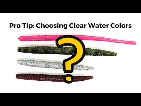 best lure for fishing at arkabutla The Best Lures for False Albacore