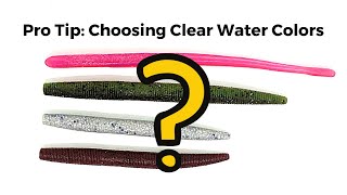 Pro Tip: Clear Water Color Selection screenshot 4