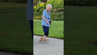 Aunt Joane Walking Alley