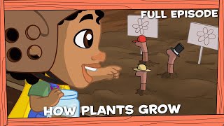 Darwin and Newts | How Plants Grow