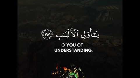 سورة البقره وأتموا الحج والعمرة لله -  القارئ عبدالرحمن مسعد