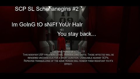 SCP Secret Lab Shenanigans #2