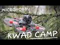 FOREST BROTHERHOOD HOBBY : Weightless and smallers kwads - silent and fun