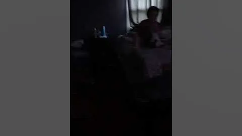 Evil cat on the loose