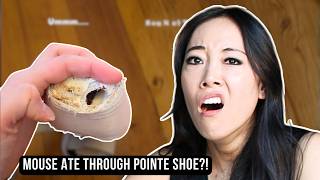 Pointe Shoe Fitter Reacts to Pointe Shoe Core!