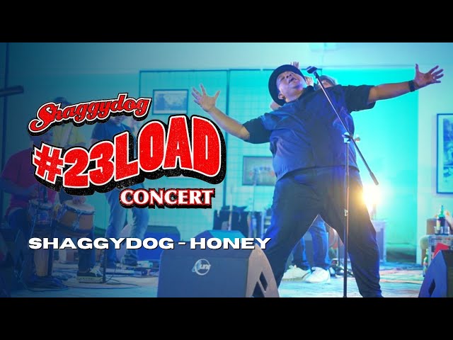 #23LOADCONCERT | SHAGGYDOG - HONEY [LIVE] class=