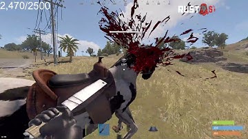 NO ONE IS SAFE - OTV (CoconutB) | OTV RUST SERVER