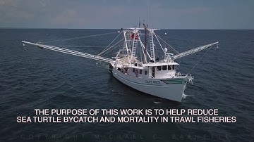 2018 TURTLE EXCLUDER DEVICE (TED) TESTING