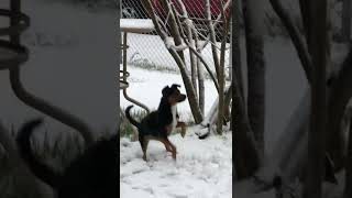 Snow in hesperia California