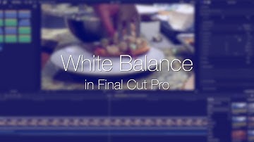 WHITE BALANCE in FINAL CUT PRO   Color Correction Plugin Tutorial FCPEffects