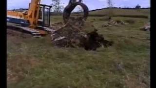 Unearthing a Huge Kauri Stump