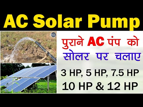 वीडियो: ज़ोन 7 पूर्ण सूर्य के लिए पौधे: ज़ोन 7 में सीधी धूप में बागवानी के बारे में जानें