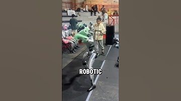 This RC Robot Can Box And Do MMA (📸: telangp1)