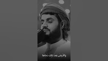 رعد محمد الكردي 🌝🤍 اجمل حالات واتس اب دينية سورة النازعات فيديو قصيره