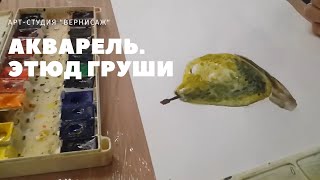 Акварель. Этюд груши I Арт-студия \