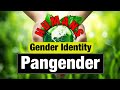 Gender Identity PANGENDER Embracing the Full Spectrum of Gender Identities