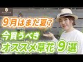 【まだ夏と同じで大丈夫?】季節の変わり目は「気温と植物選び」がポイントです♪