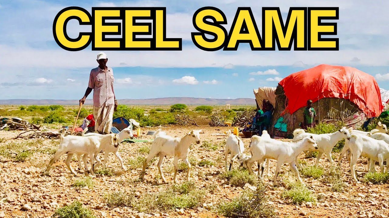CEEL SAME DEEGANKA UGU BIYAHA MACAAN SOMALILAND