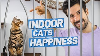 Living with a Cat in an Apartment - Keeping your Indoor Cat Happy