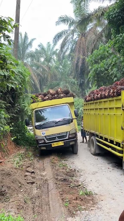 truck sawit oleng #coversong #berkahtalenta #aptthailand #automobile #storywa #fypシ゚viral #shorts